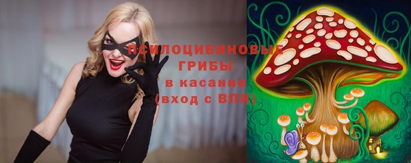 СК Алексеевка