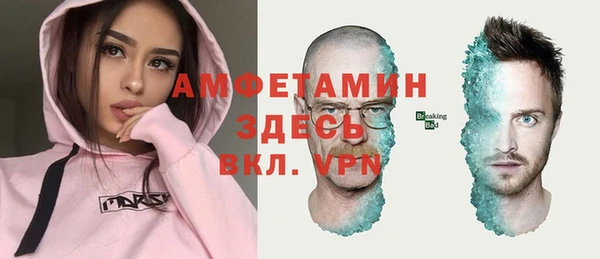 мет Алексин