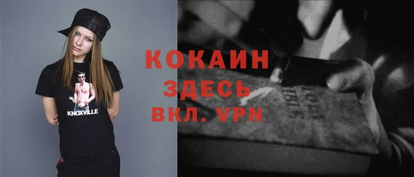 мет Алексин