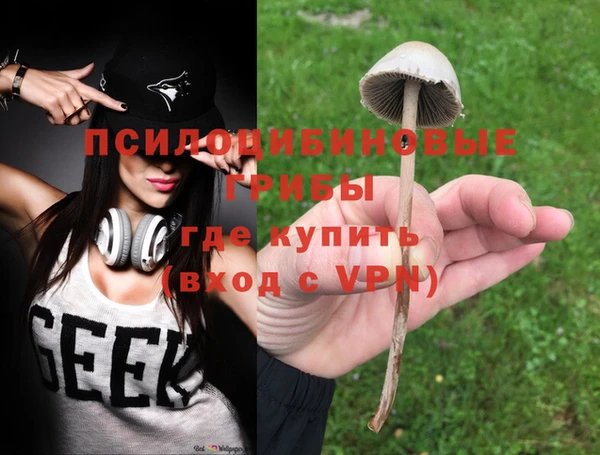СК Алексеевка