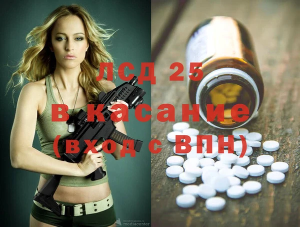 ПСИЛОЦИБИНОВЫЕ ГРИБЫ Алзамай