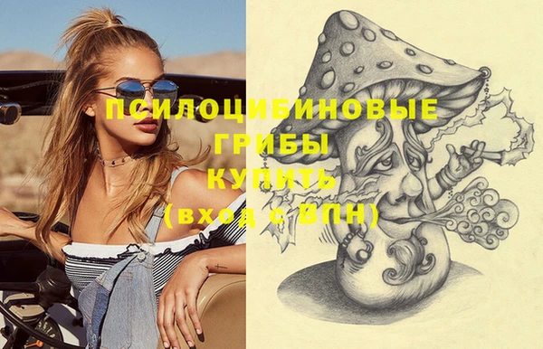 ПСИЛОЦИБИНОВЫЕ ГРИБЫ Алзамай