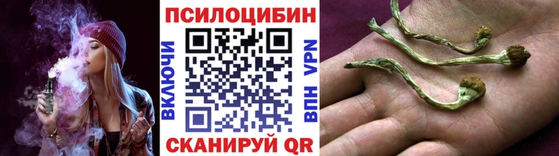 купить   Данилов  Псилоцибиновые грибы GOLDEN TEACHER 
